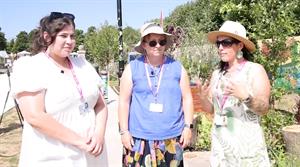 Rachael Forsyth, Helen Currie and Molly Lewis Klemova-White